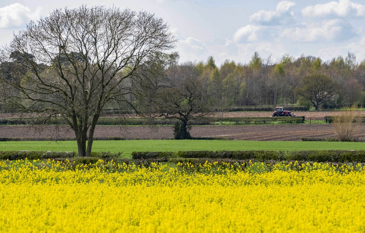 Spring appearing